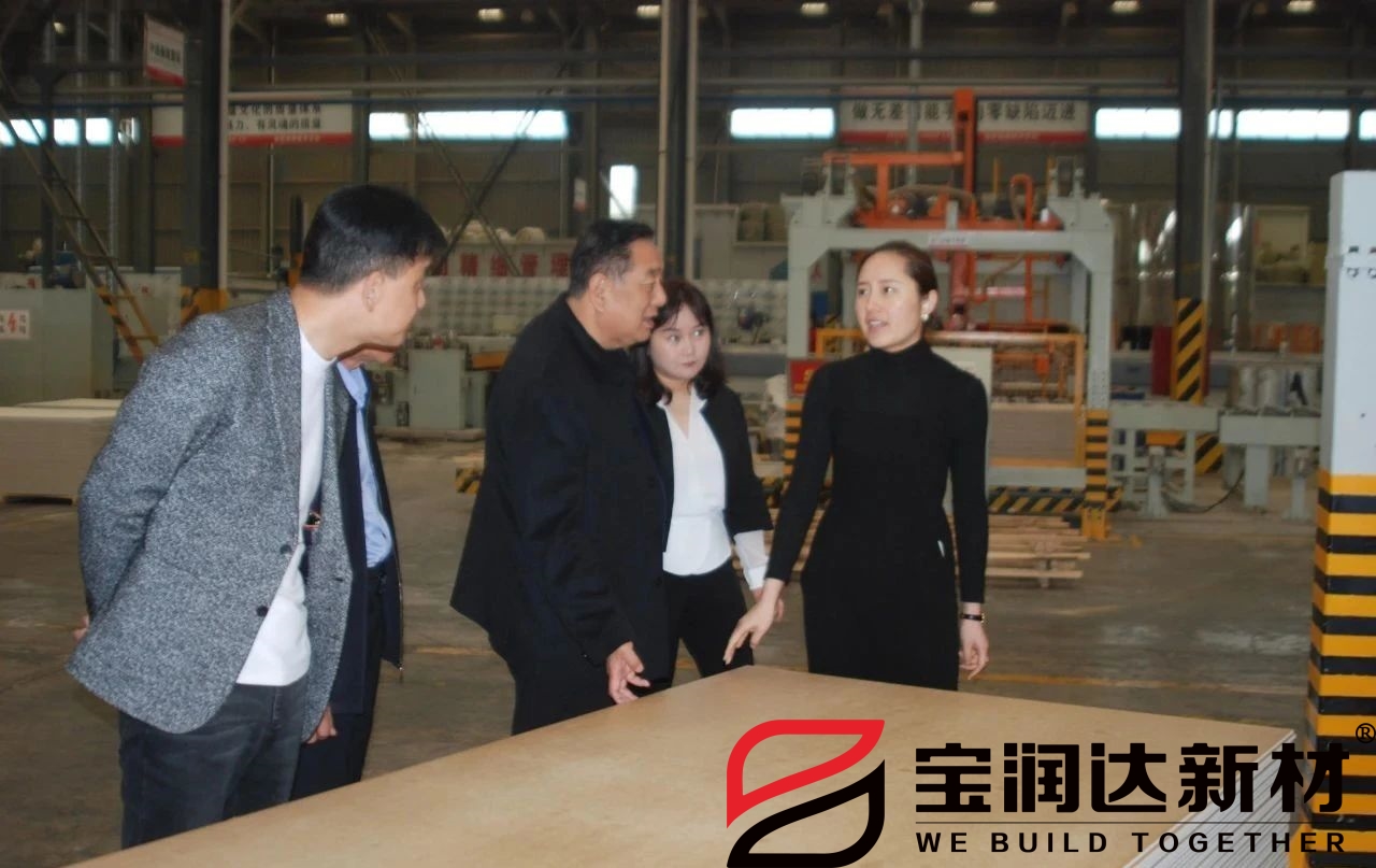 龍蟒佰利聯(lián)集團董事長(cháng)一行來(lái)訪(fǎng)寶潤達