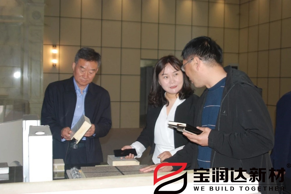 龍蟒佰利聯(lián)集團董事長(cháng)一行來(lái)訪(fǎng)寶潤達