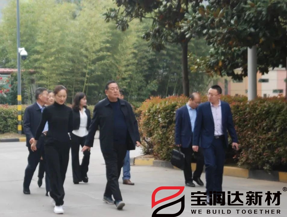 龍蟒佰利聯(lián)集團一行來(lái)訪(fǎng)寶潤達
