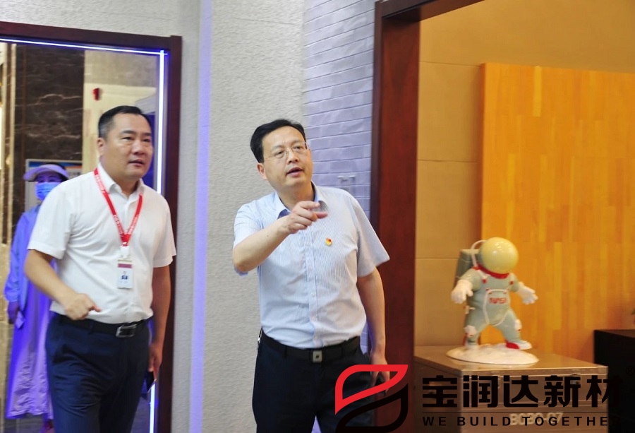 市人大常委會(huì )黨組書(shū)記劉明亮蒞臨寶潤達