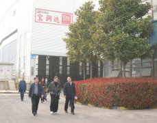 許昌調研工作組來(lái)寶潤達調研指導